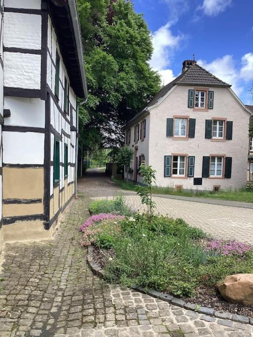 Eyes Im Nationalpark Eifel Ferienhaus *