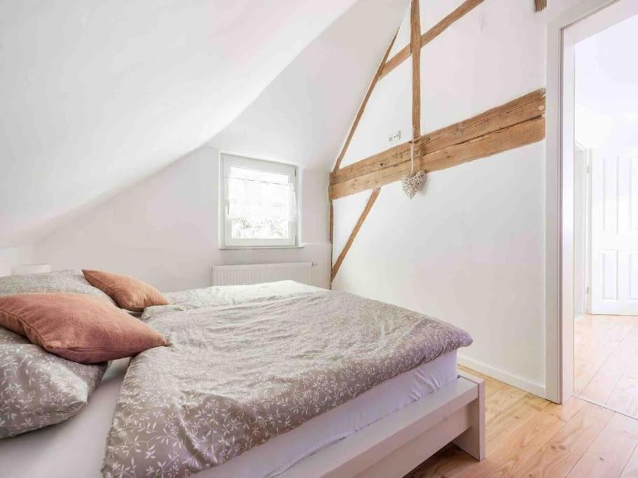 Eyes Im Nationalpark Eifel Ferienhaus